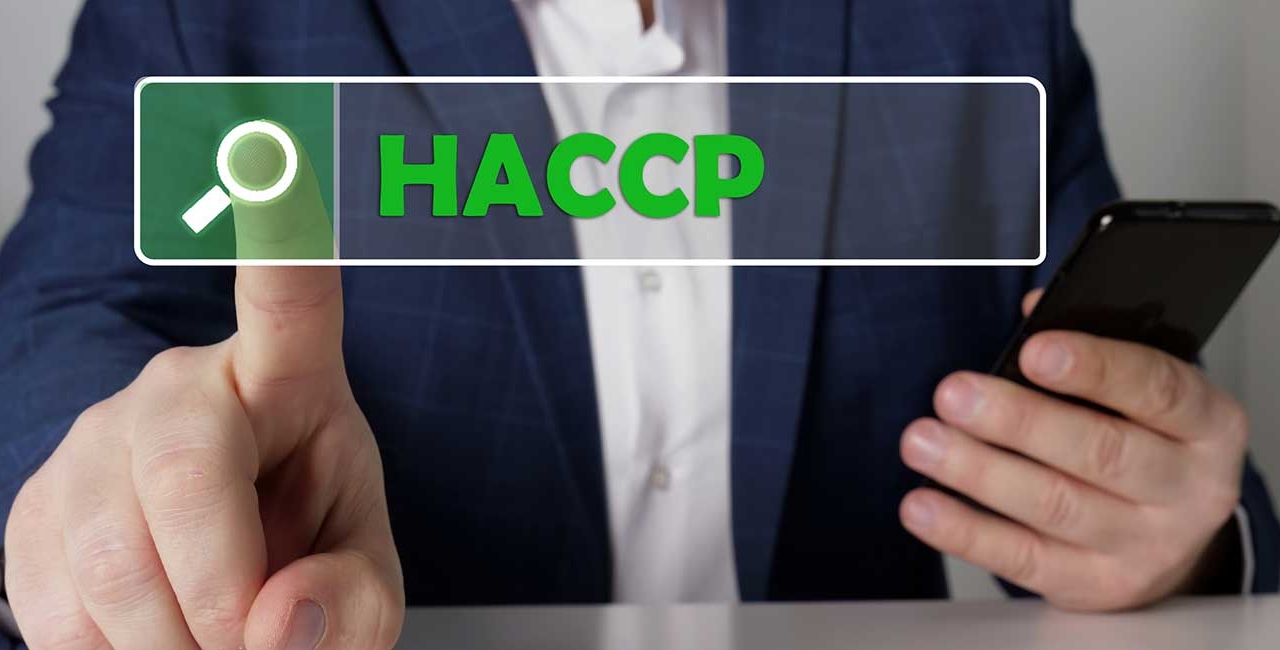 Szkolenia HACCP online