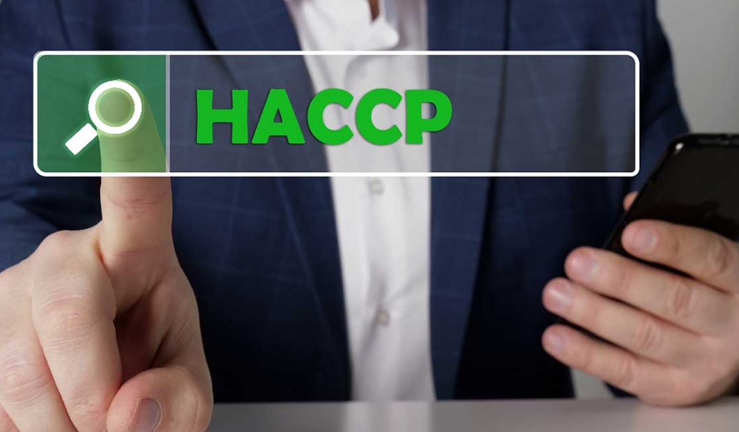 Szkolenia HACCP online