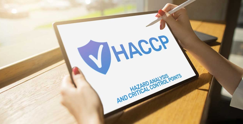 Szkolenie: tworzenie, wdrażanie + etapy wdrażania systemu HACCP